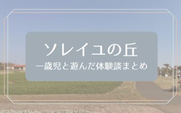 ソレイユの丘は1歳でも楽しめる？赤ちゃん連れで行ってみた体験レポ＆口コミ